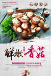 鲜嫩香菇