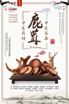 鹿茸