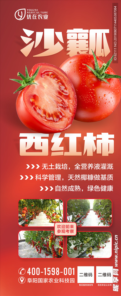西红柿海报