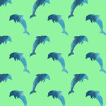 海豚