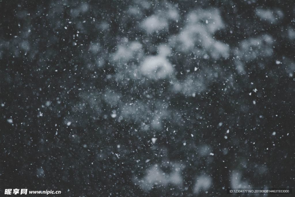 雪地