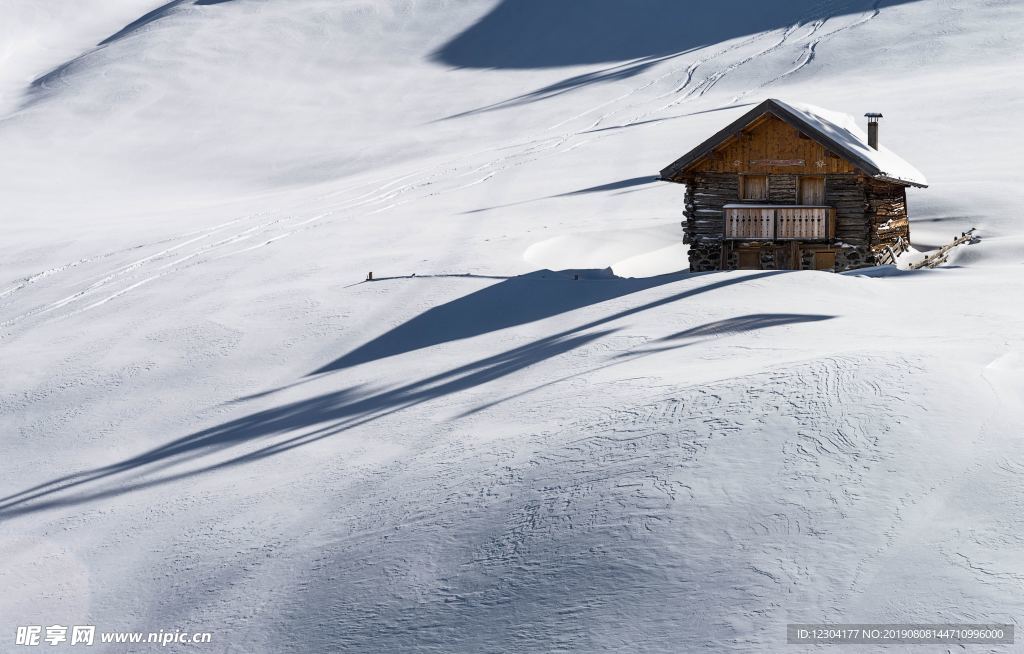 雪地