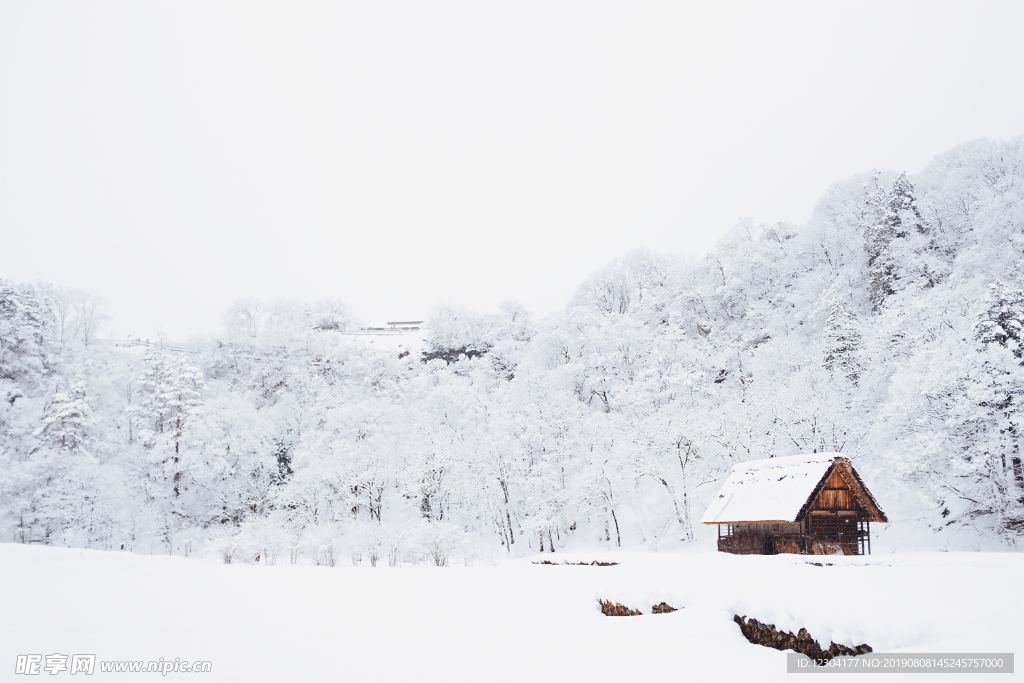 雪地