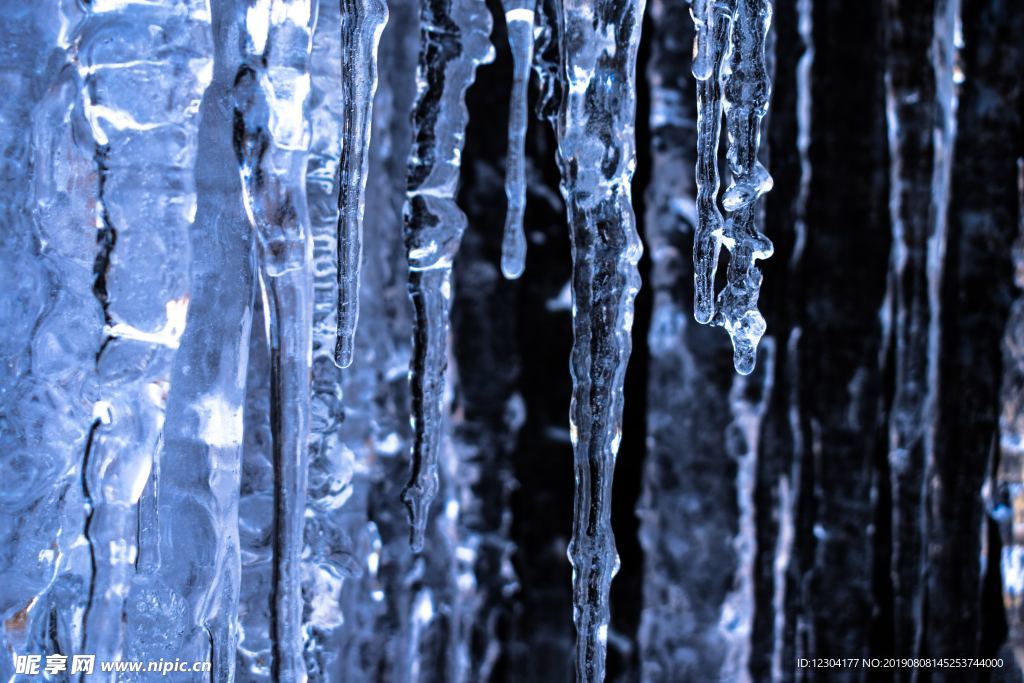 雪地