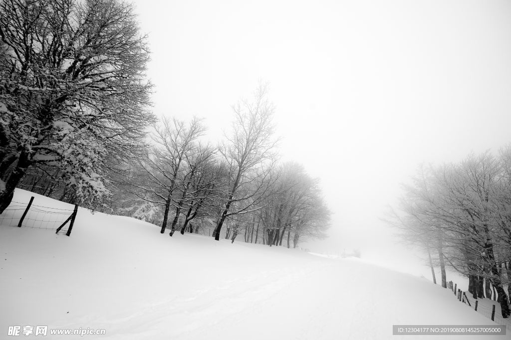 雪地