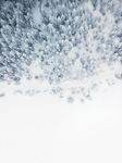 雪地