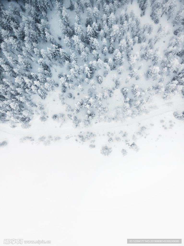 雪地