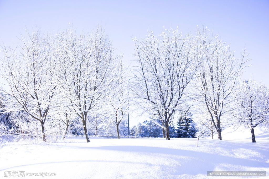 雪地