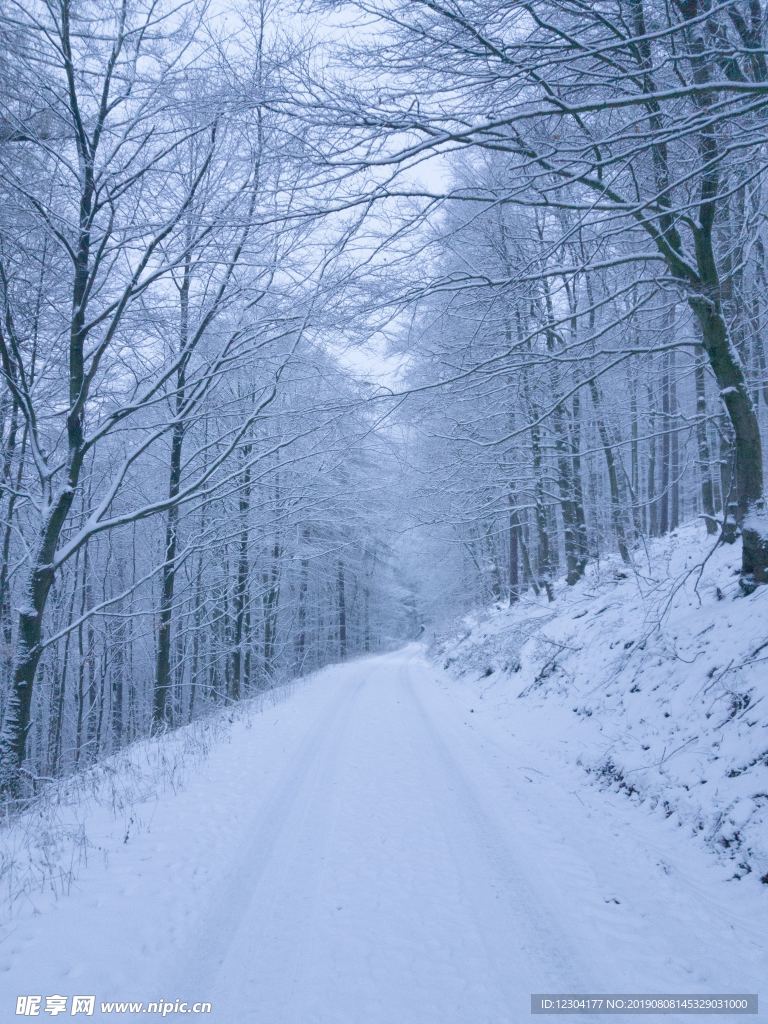 雪地
