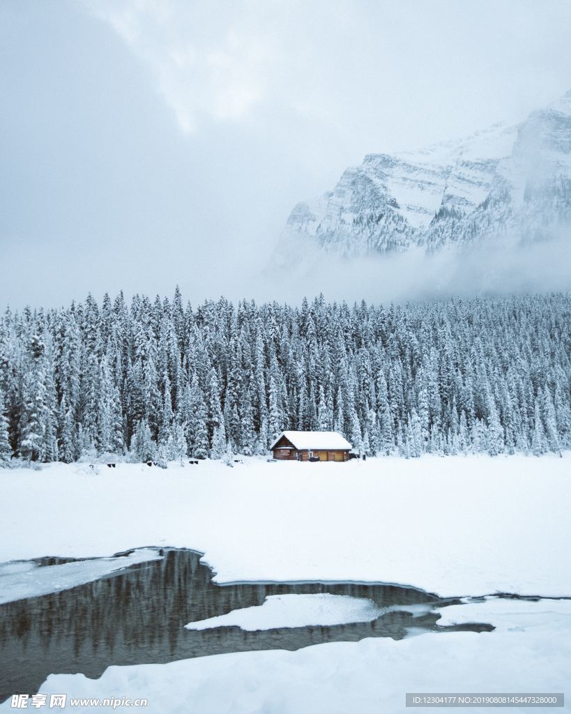 雪地