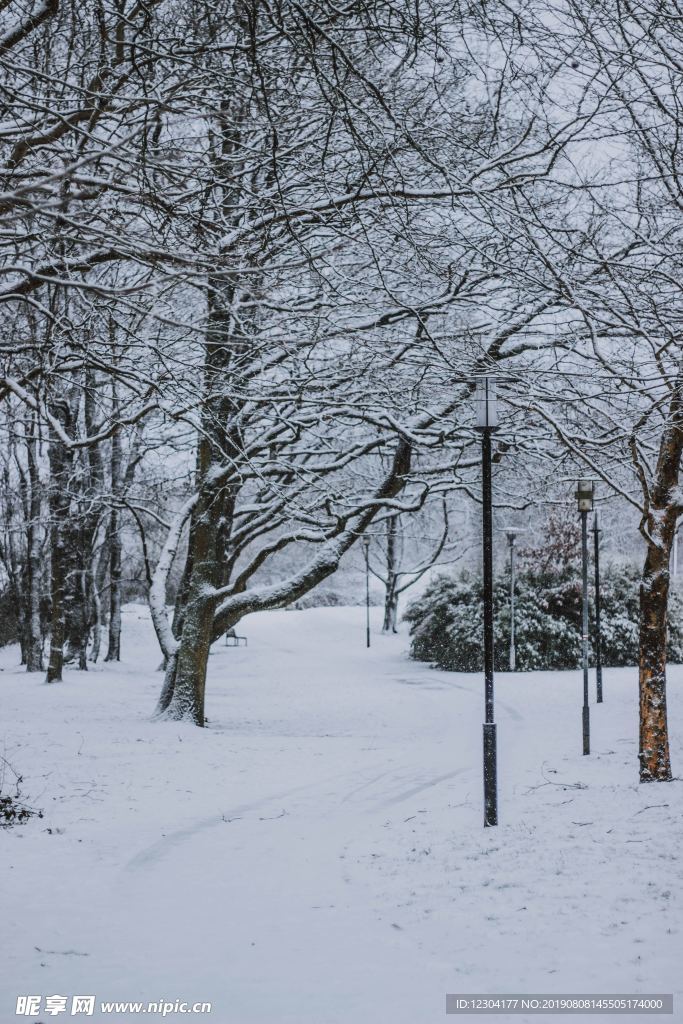 雪地