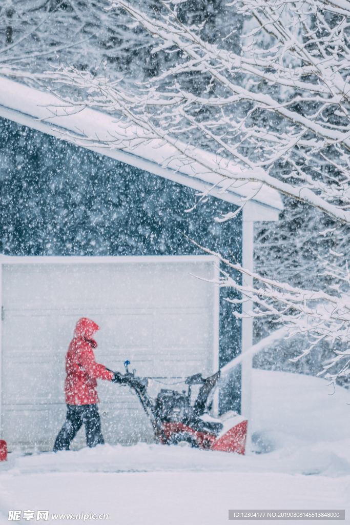 雪地