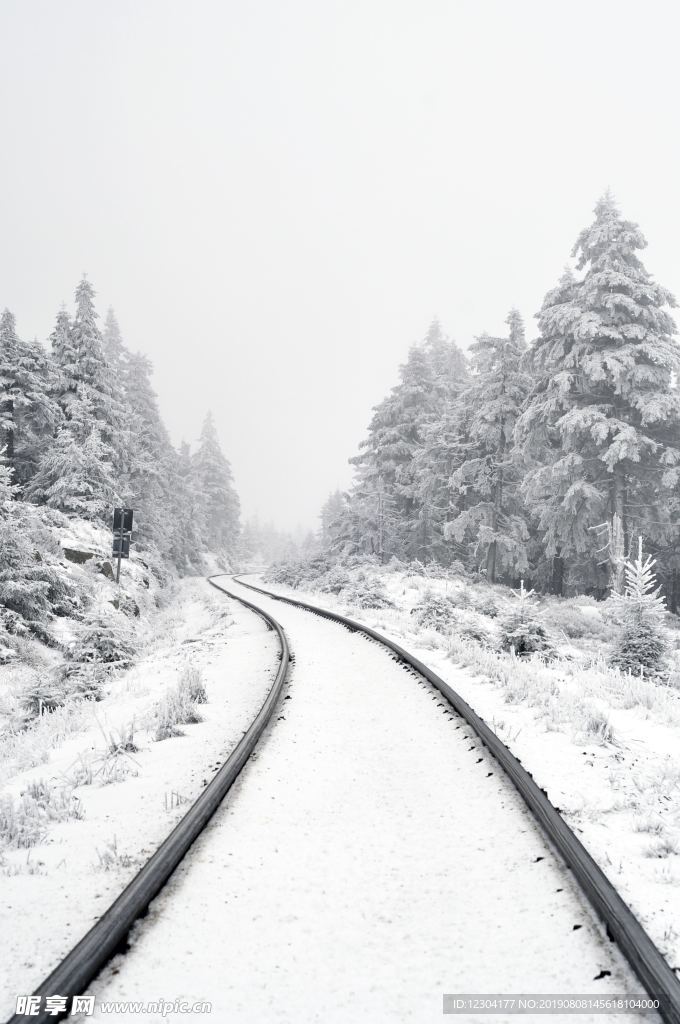 雪地