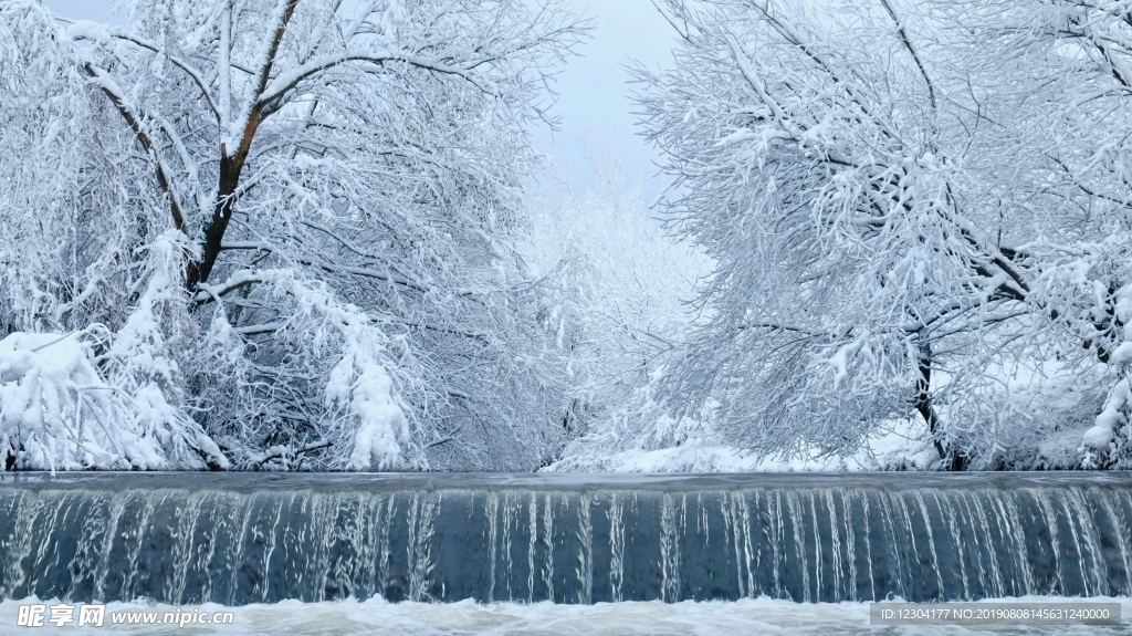 雪地