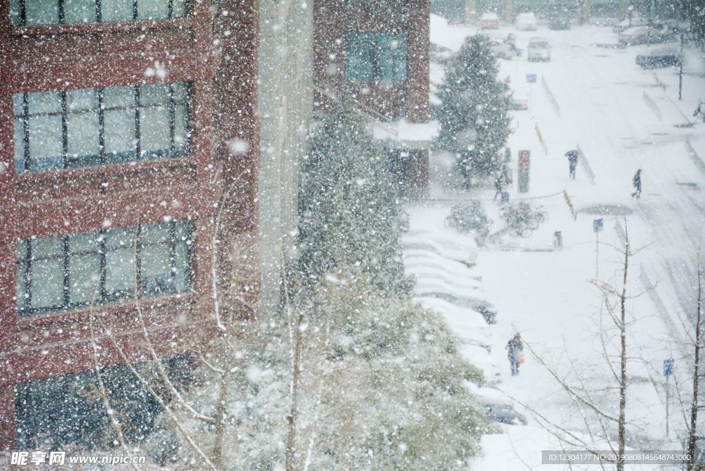 雪地