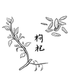 枸杞