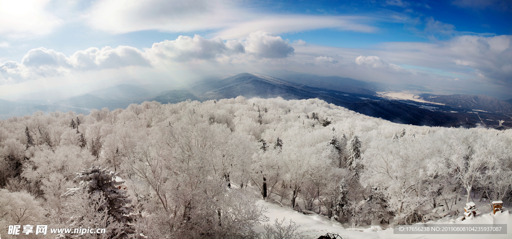 林海雪原