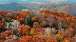 五花山