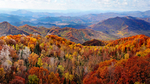 五花山