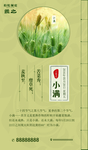 小满