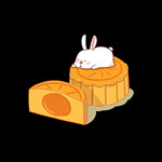 月饼