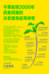 牛蒡茶海报