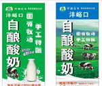 草滩金牛 自酿酸奶