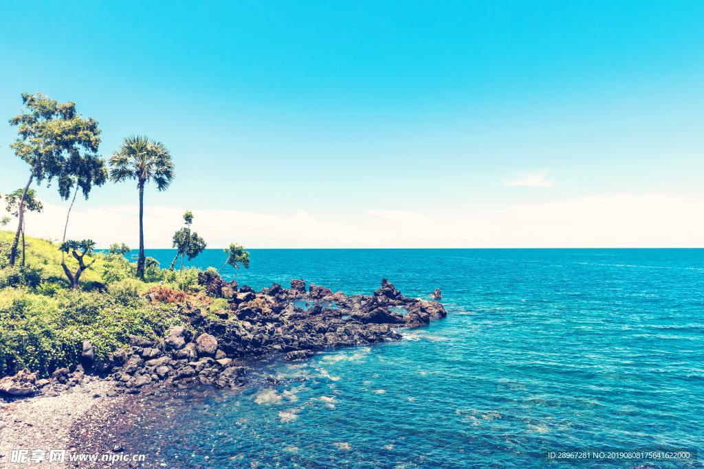 海洋