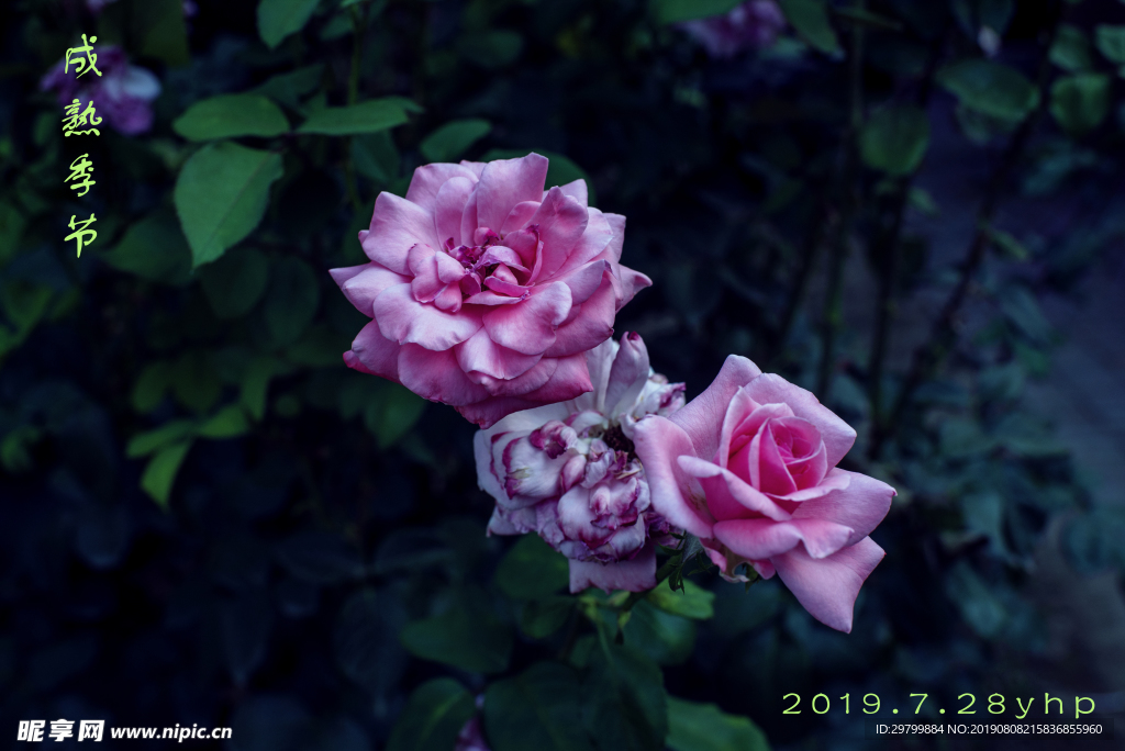 花