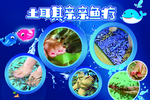 鱼疗海报