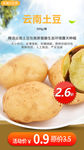 生鲜网络小海报设计云南土豆