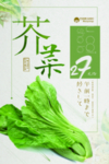 芥菜