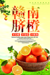 赣南脐橙水果海报