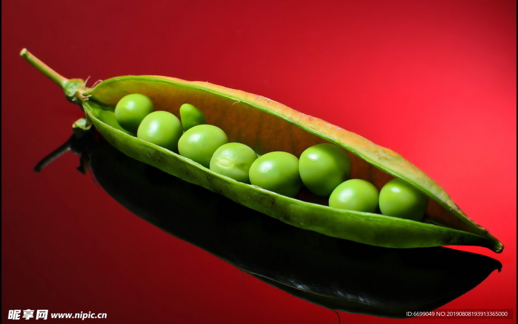 豆子