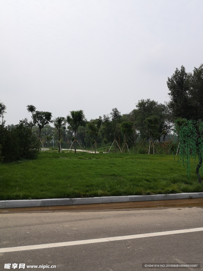 风景