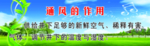 安全生产  草地