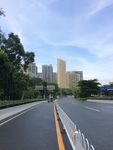 松岗的风景