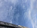 松岗的蓝天