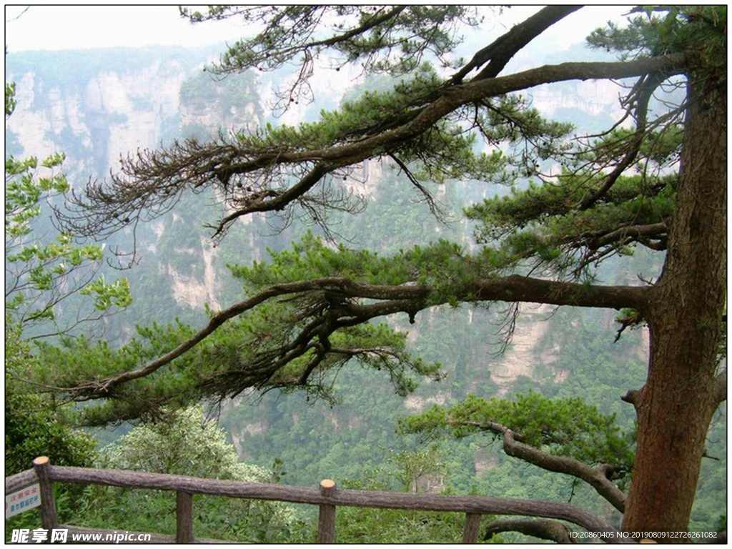 山林 大山 树林 郊区 蓝天