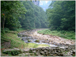 山林 大山 树林 郊区 蓝天