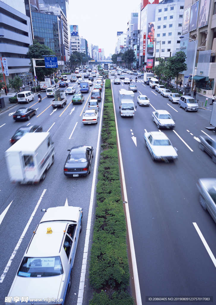 道路 沥青路 树林 郊区 弯道