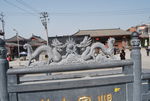 龙