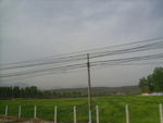 麦地