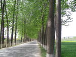 道路