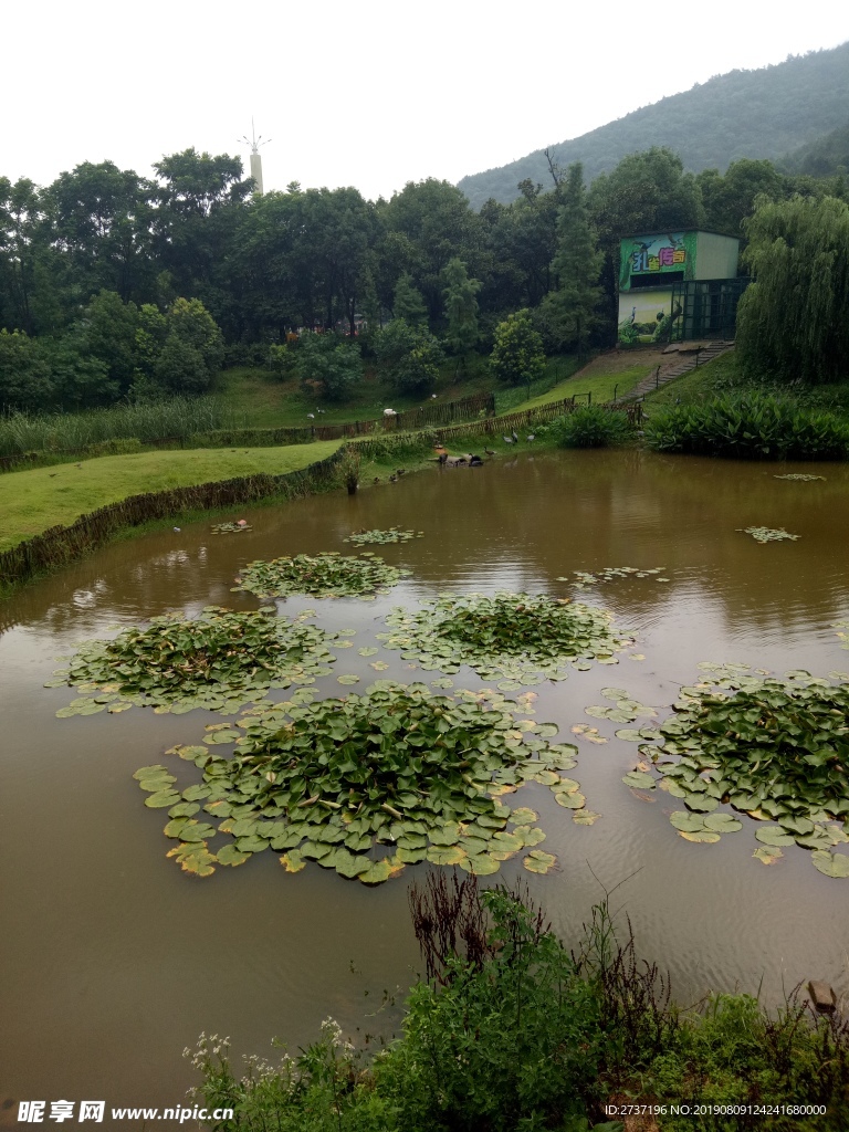 动物园山水