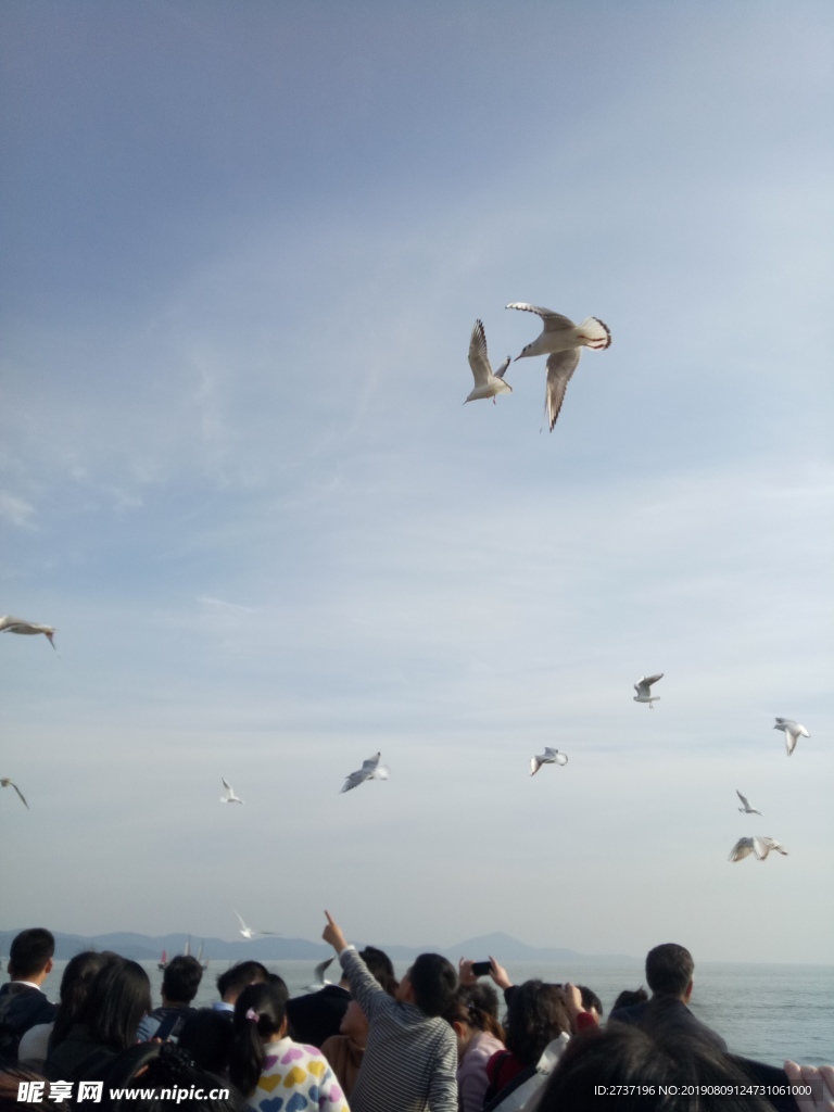 鼋头渚