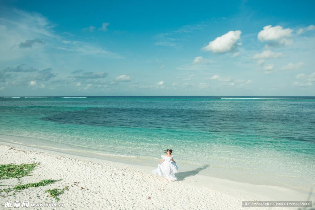 海洋