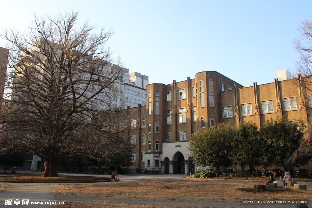 东京大学