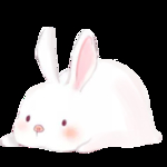 兔子