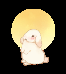 兔子